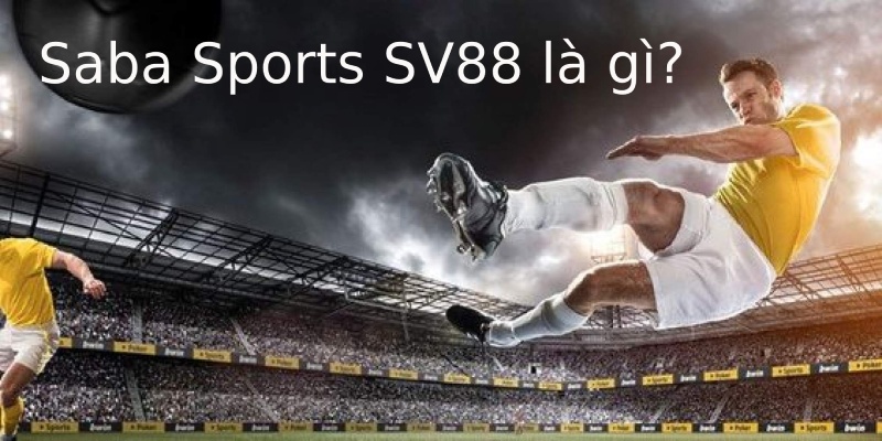 Saba Sports SV88 là sảnh cược trực tuyến uy tín