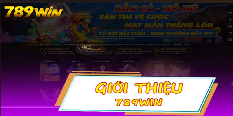 Vài nét về nhà cái 789win